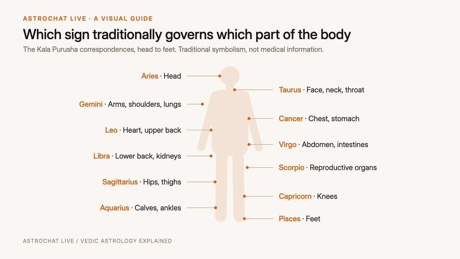A simple body outline graphic mapping which zodiac signs traditionally govern which body regions